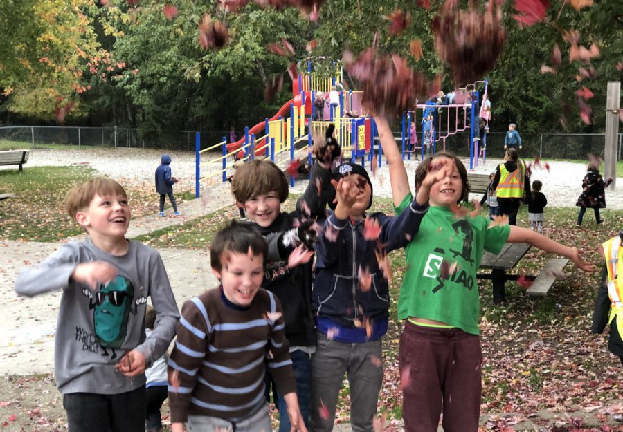 kids playing in leaves